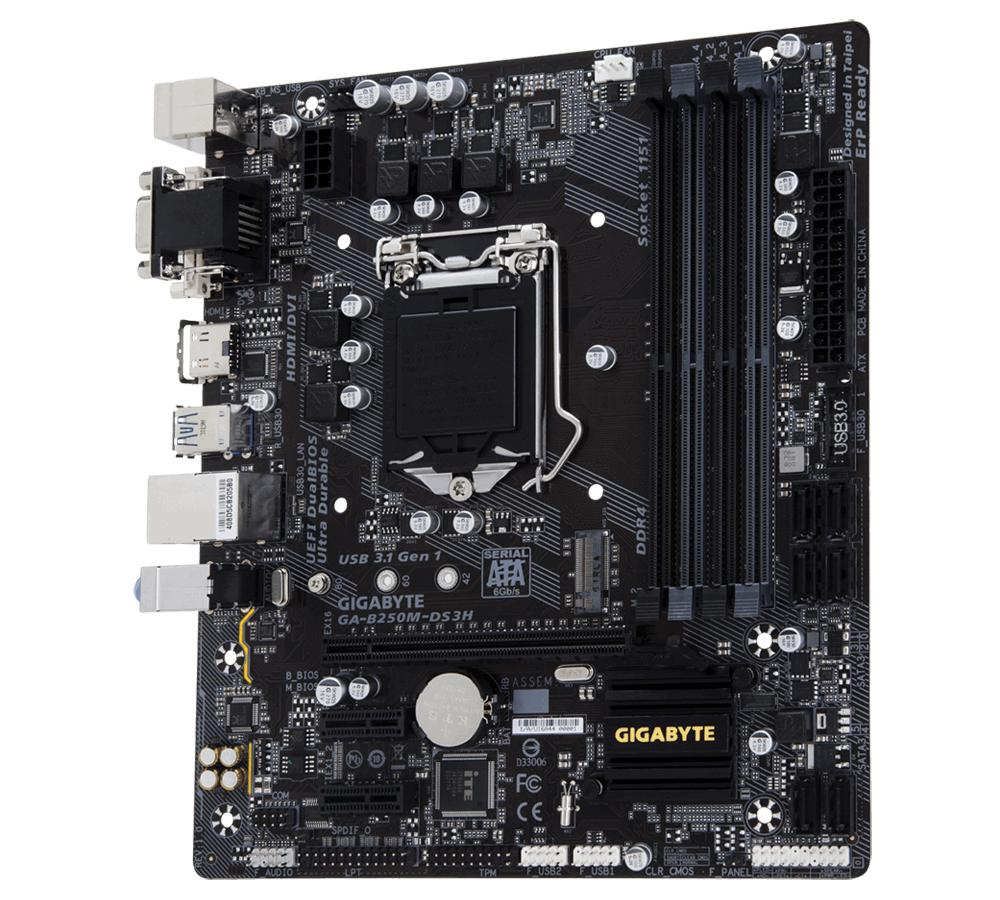 Gigabyte GA-B250M-DS3H Intel B250 LGA1151 Micro ATX placa base