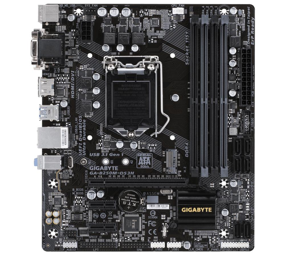 Gigabyte GA-B250M-DS3H Intel B250 LGA1151 Micro ATX placa base