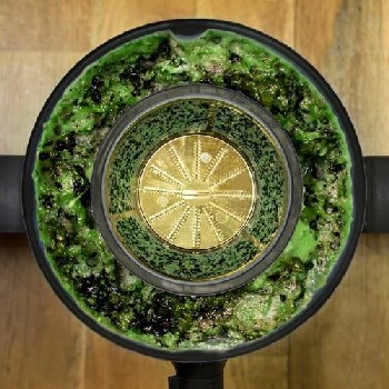 Filtro de drenaje circular con residuos verdes. Un colador dorado en el interior. Se ven tubos negros.