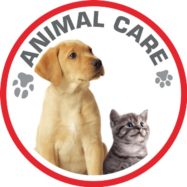 Aspirador sin bolsa - Rowenta RO3786 Compact Power Cyclonic Animal Care, 750 W, 1.5 L, Ciclónico