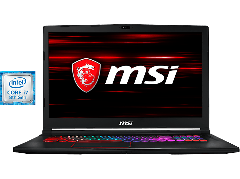 Portátil gaming | MSI GT73 Raider 8RE-466ES