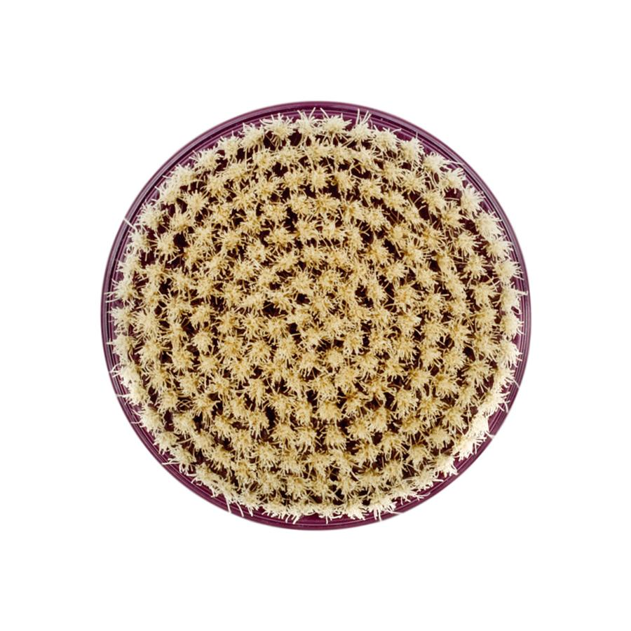 Cepillo circular con cerdas claras y borde morado oscuro. Las cerdas dispuestas radialmente.