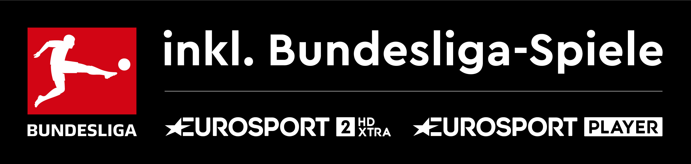 HDPLUS Modul inkl. Eurosport-Paket