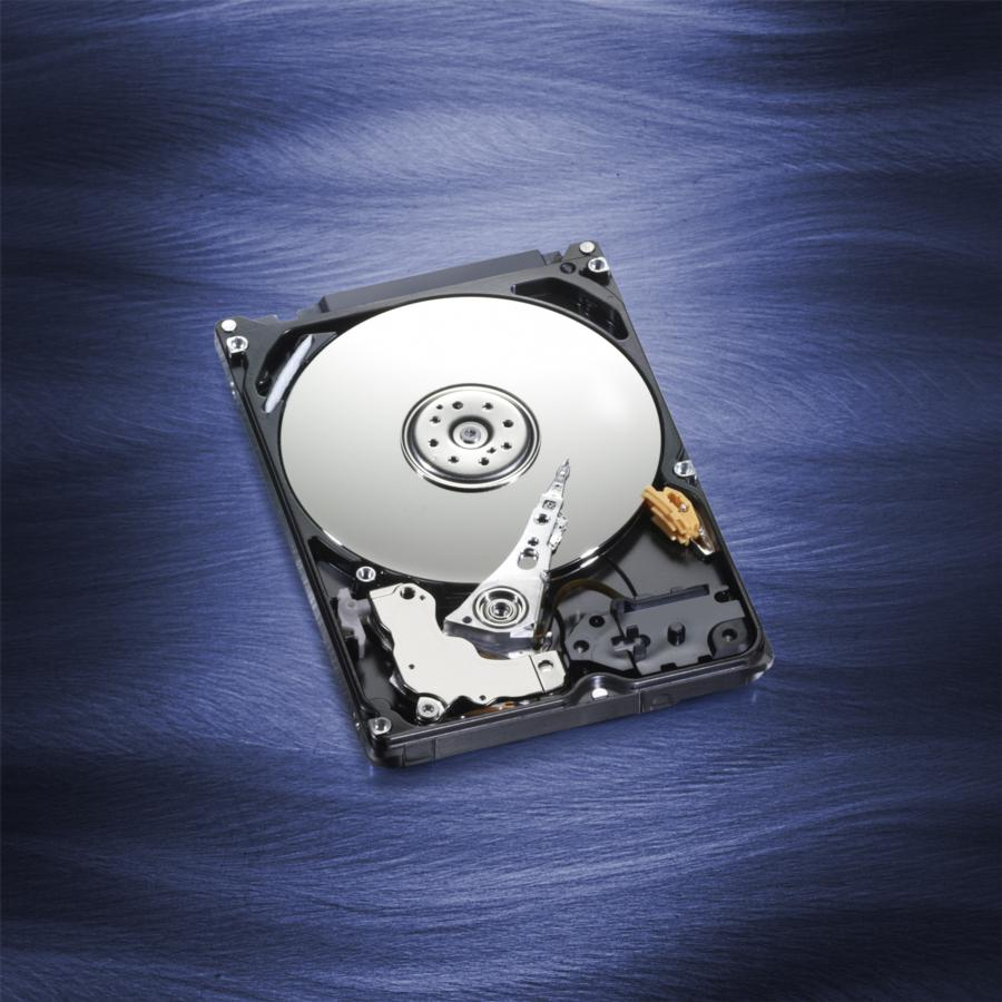 WESTERN DIGITAL WD3200LPCX DE 320 GB