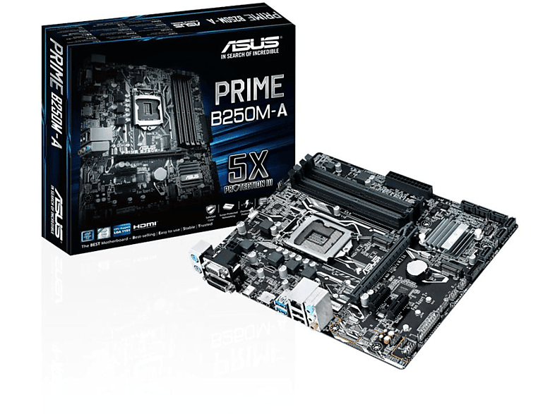 Placa base | ASUS Prime B250M-A/CSM