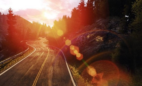 PS4 Project Cars (PlayStation Hits)