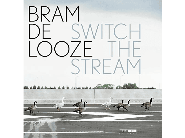De Looze,Bram/Maene,Chris - Switch the Stream  - (Vinyl)