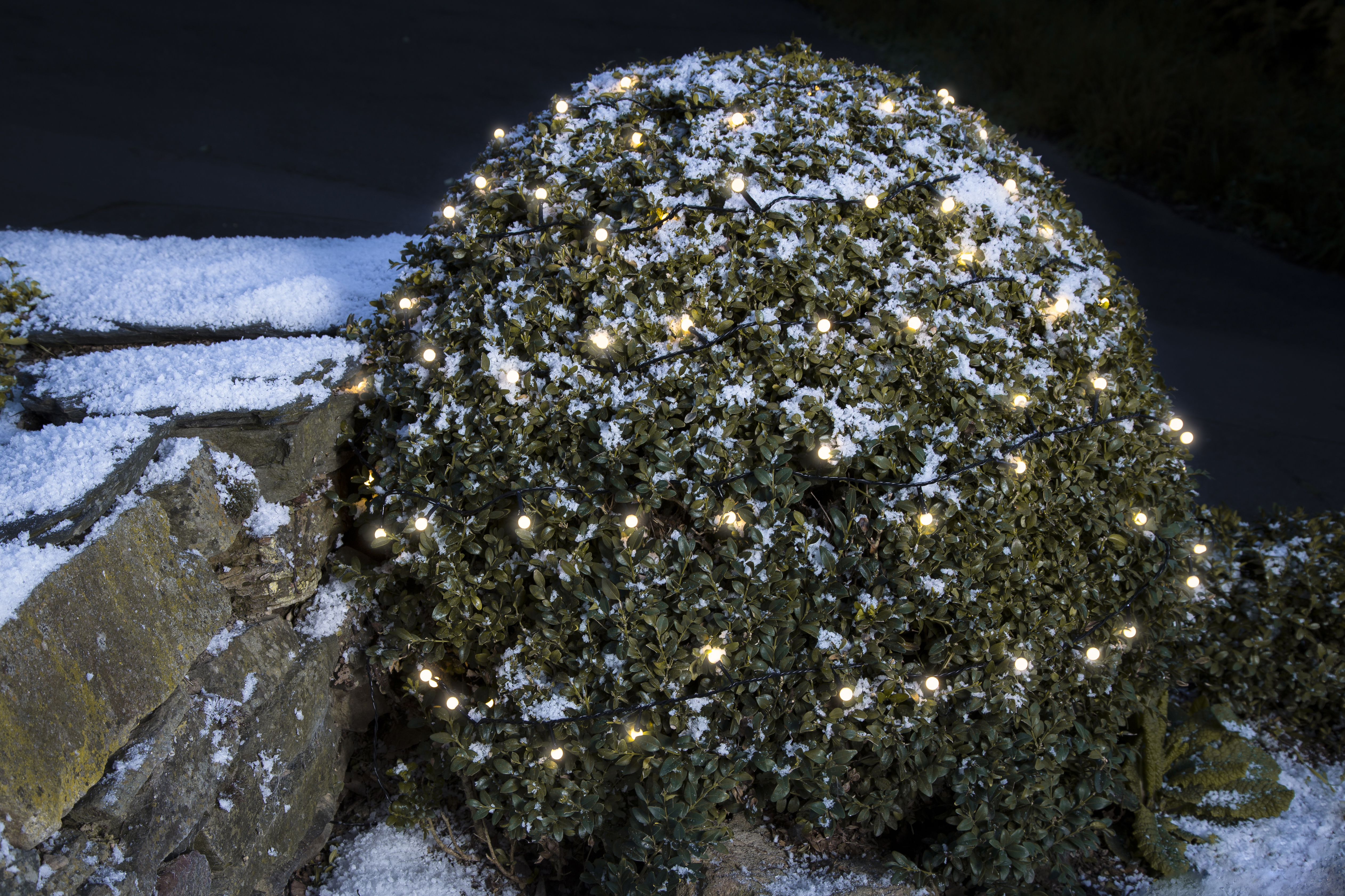 Ein schneebedeckter Busch mit Lichterketten. Der Busch befindet sich auf einer Steinmauer. Der Hintergrund ist dunkel.