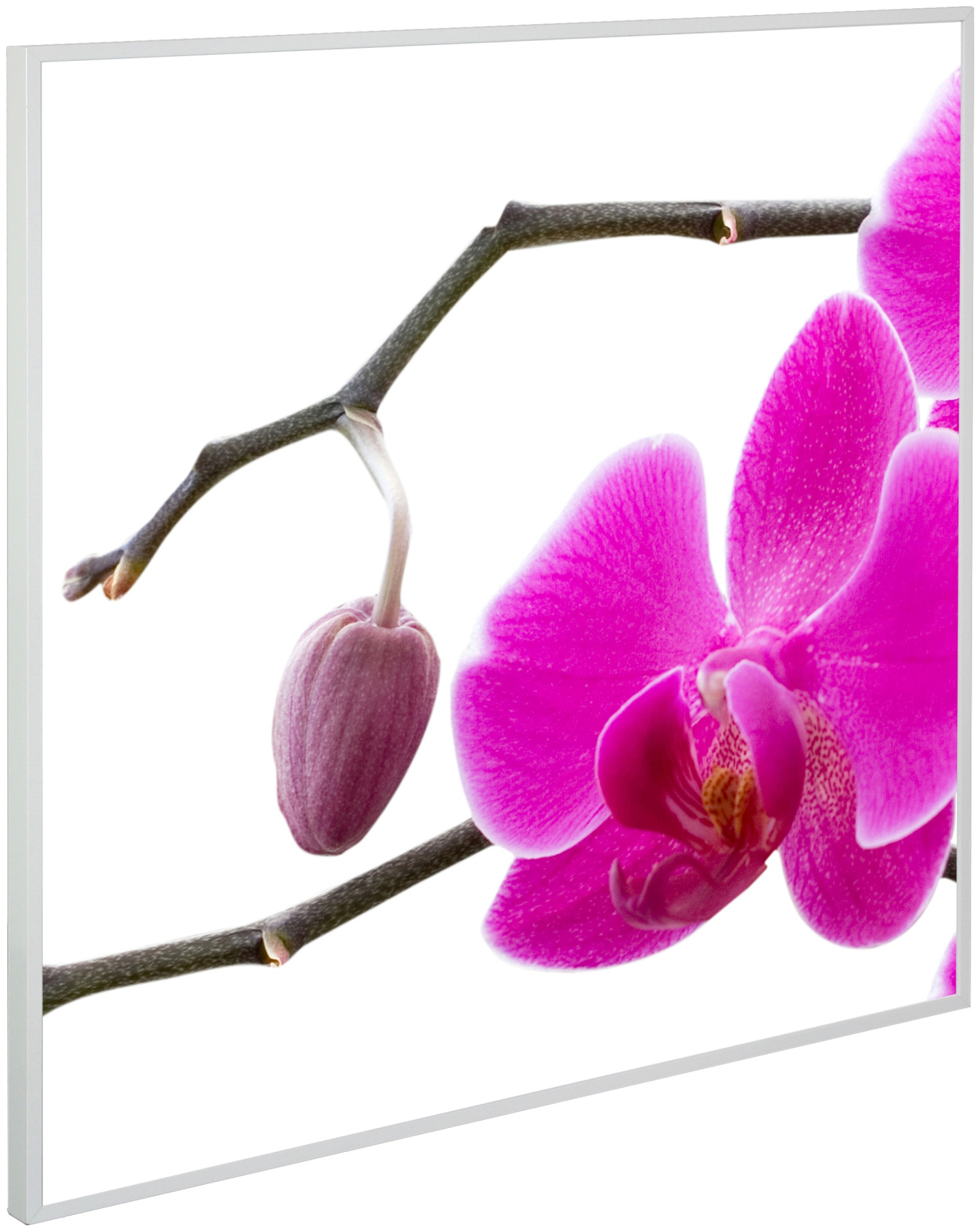 EL FUEGO AY 6902 Heizpaneel Purple Infrarotheizung (360 Watt)