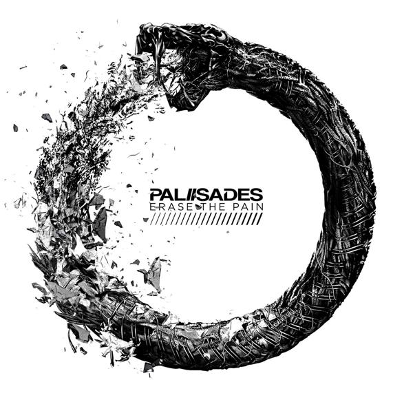 The Palisades - Erase The - (Vinyl) Pain