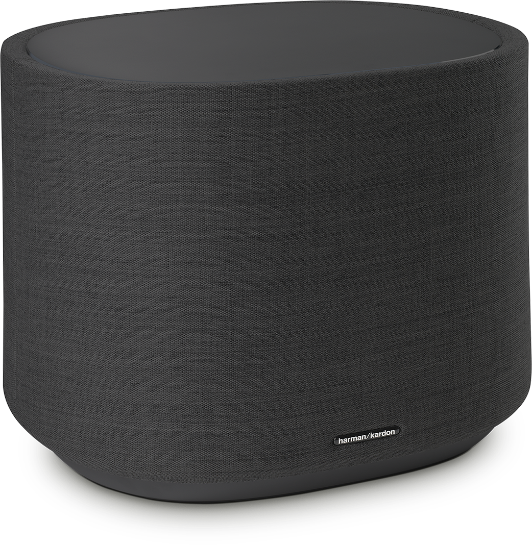 Zwarte cilindrische luidspreker met 'harman/kardon' logo. Staat op een zwarte basis.