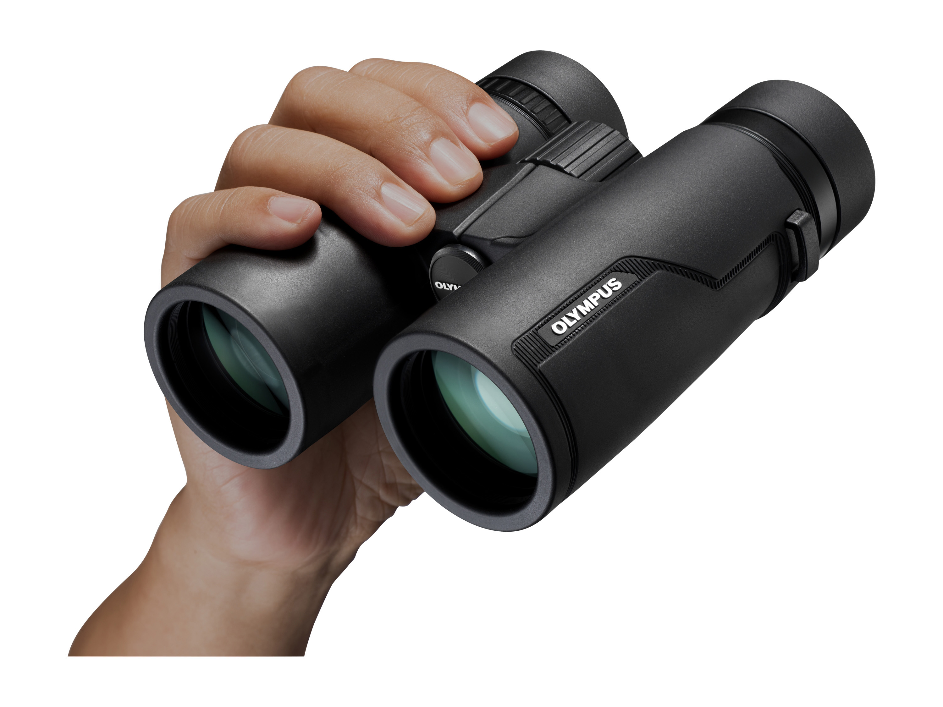 OLYMPUS PRO 8x , 42 mm, Fernglas