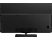 PANASONIC TX-65FZC804 - TV (65 ", UHD 4K, )