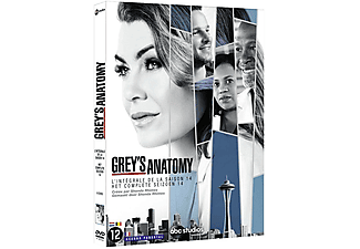 GREY S ANATOMY SAISON 14 DVD (Francese)