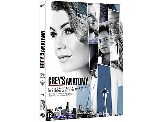GREY S ANATOMY SAISON 14 DVD (Francese)