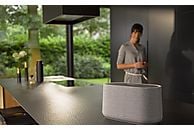 HARMAN KARDON Citation 300 Grijs