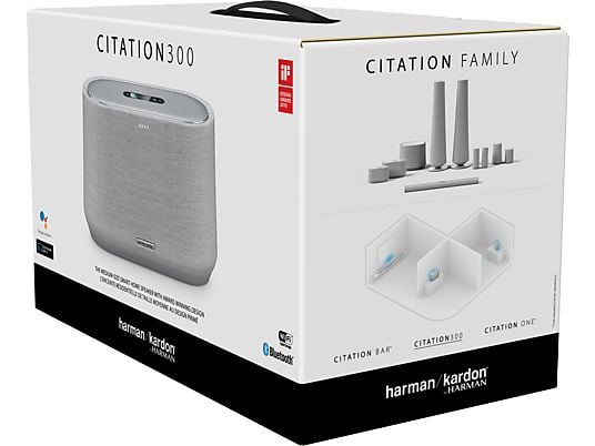 HARMAN KARDON Citation 300 Grijs