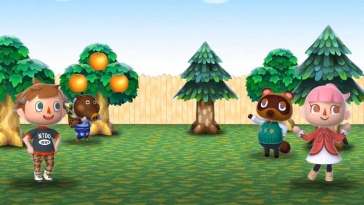 3DS Animal Crossing: New Leaf