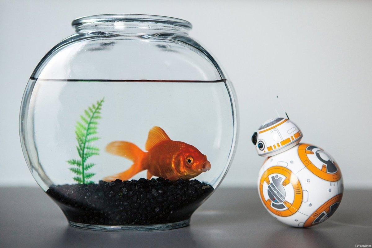 Robot - Sphero - BB-8 Star Wars