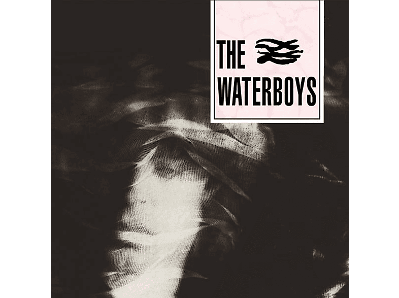 The Waterboys The Waterboys (CD) The Waterboys auf CD online kaufen
