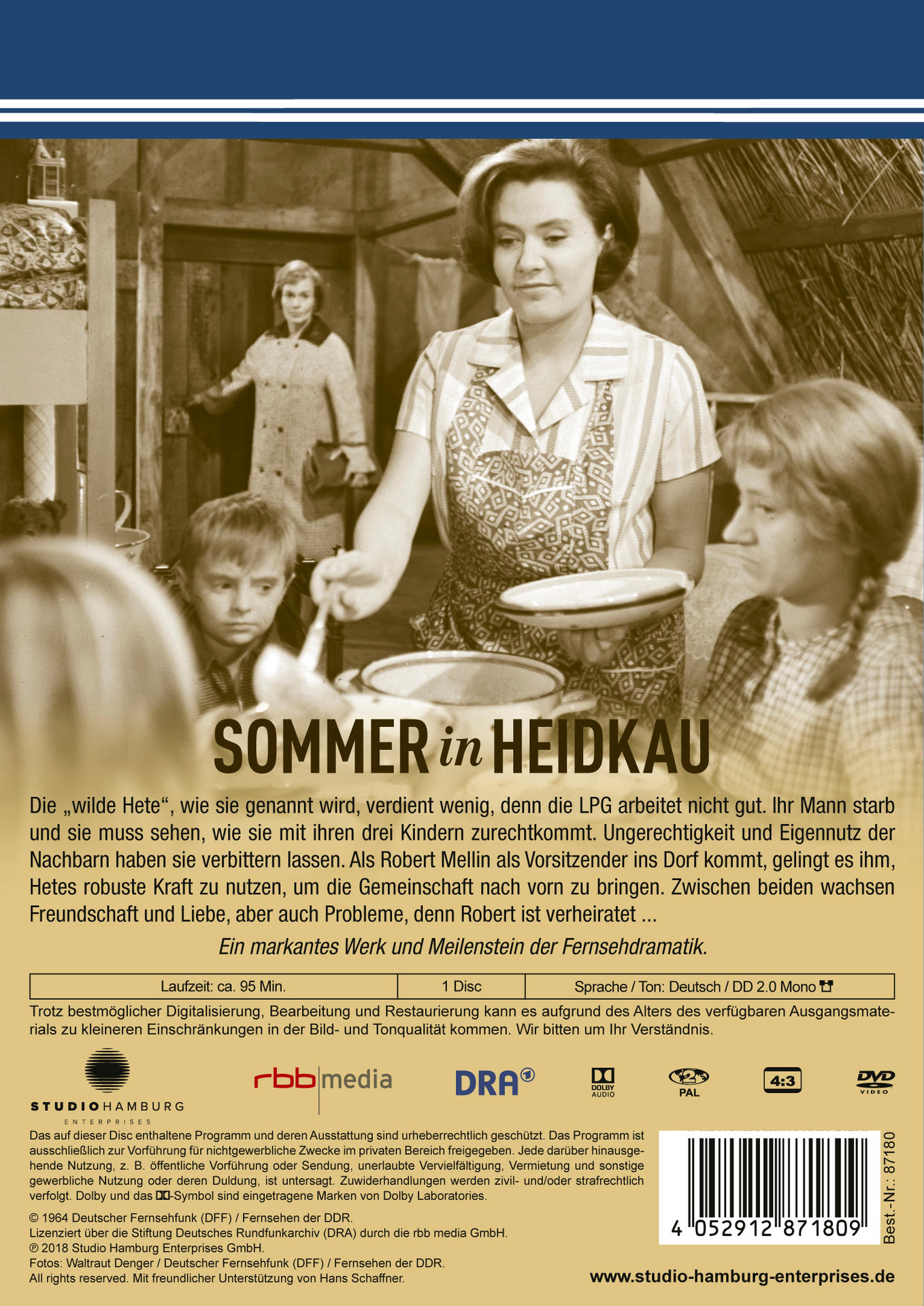 DVD-Rückseite, deutscher Text. Eine Frau im Kleid mit Kindern sind zu sehen. Titel: Sommer in Heidkau.