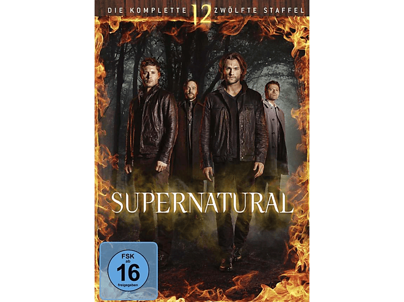 Supernatural Staffel 12 Folge 15 SUPERNATURAL | 12. STAFFEL DVD auf DVD online kaufen | SATURN