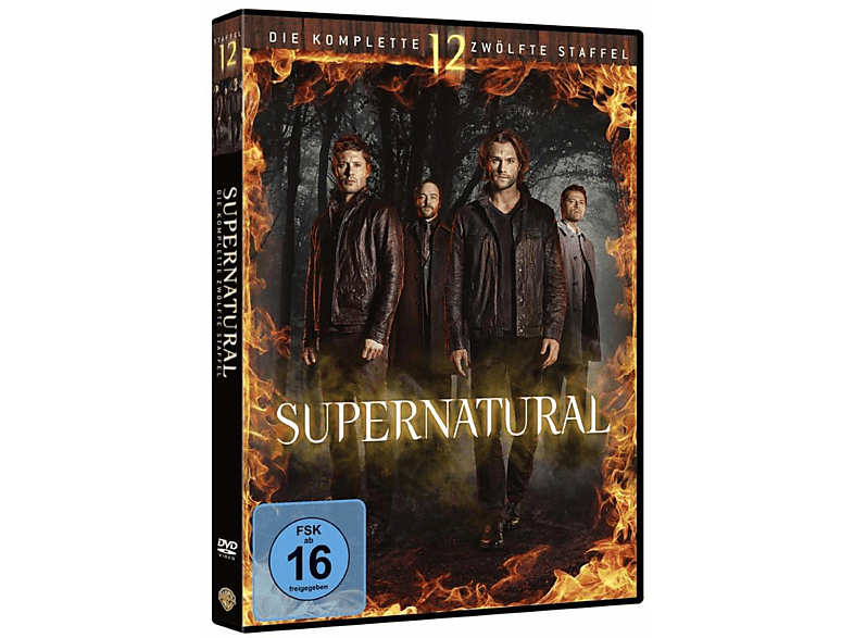 SUPERNATURAL - 12. STAFFEL DVD