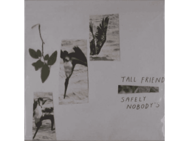 Tall Friend - Safely Nobody\'s  - (Vinyl)
