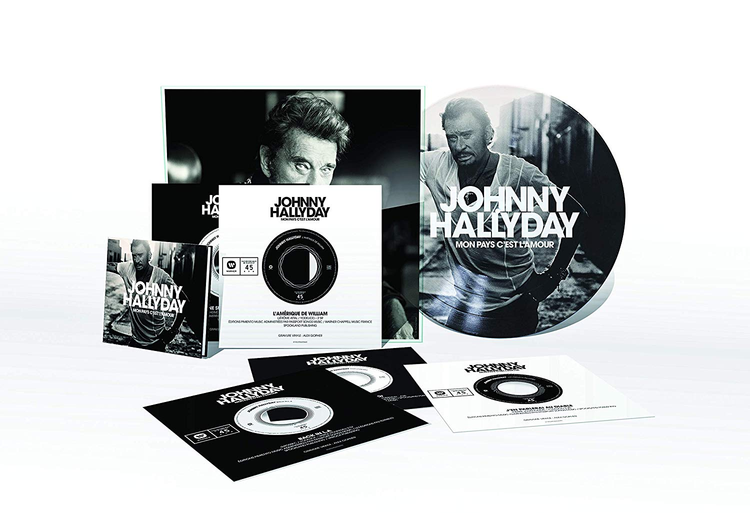 Een verzameling albumhoezen en vinylplaten van Johnny Hallyday, met foto's en tekst.