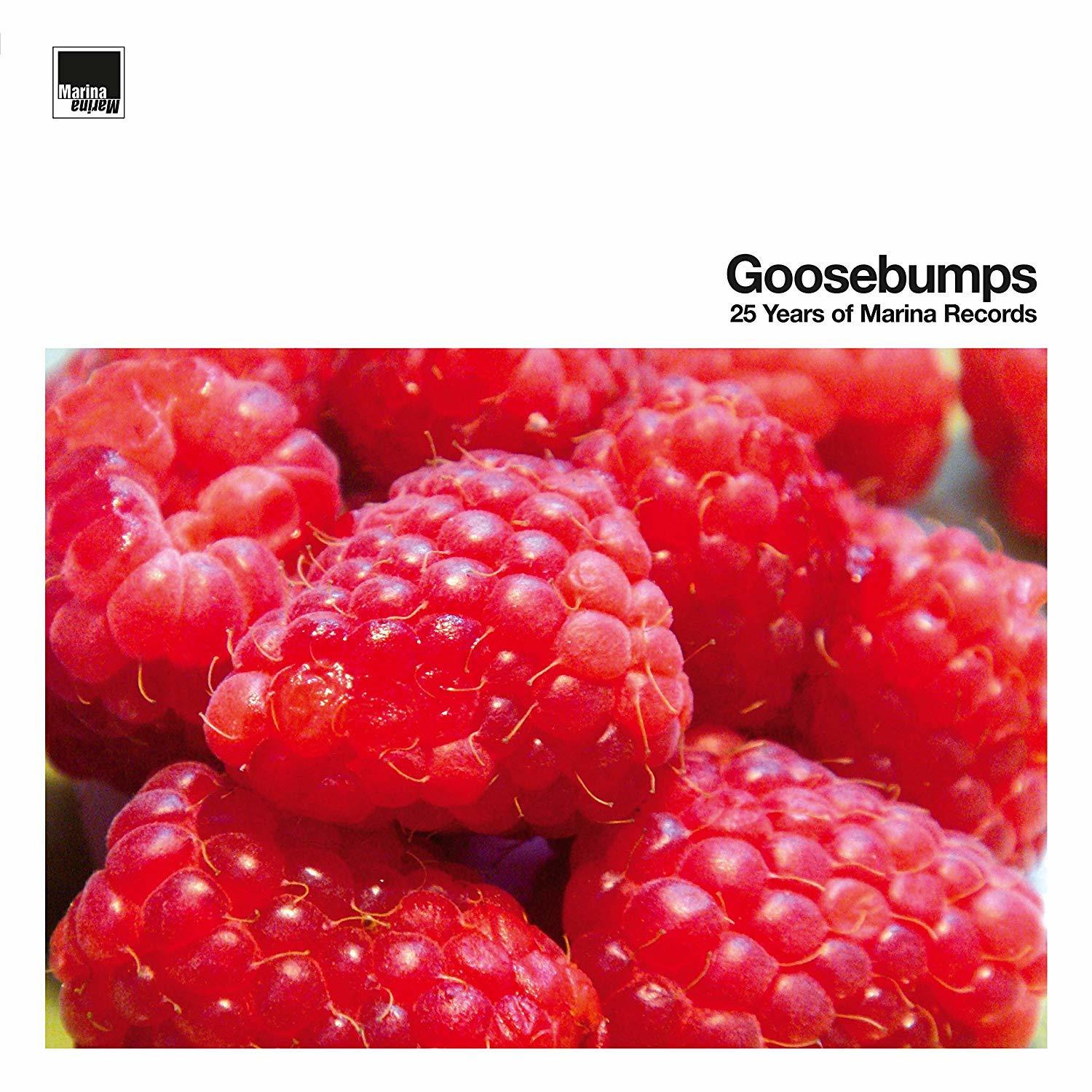 VARIOUS - Goosebumps-25 Years - Records (CD) Marina Of