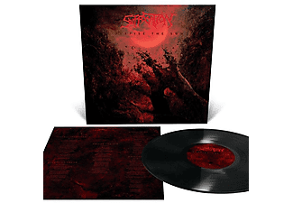 Suffocation - Despise The Sun (LP Reissue)  - (Vinyl)