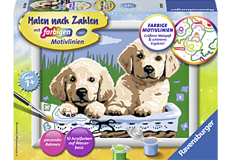 Ravensburger Malen nach Zahlen Süße Hundewelpen 