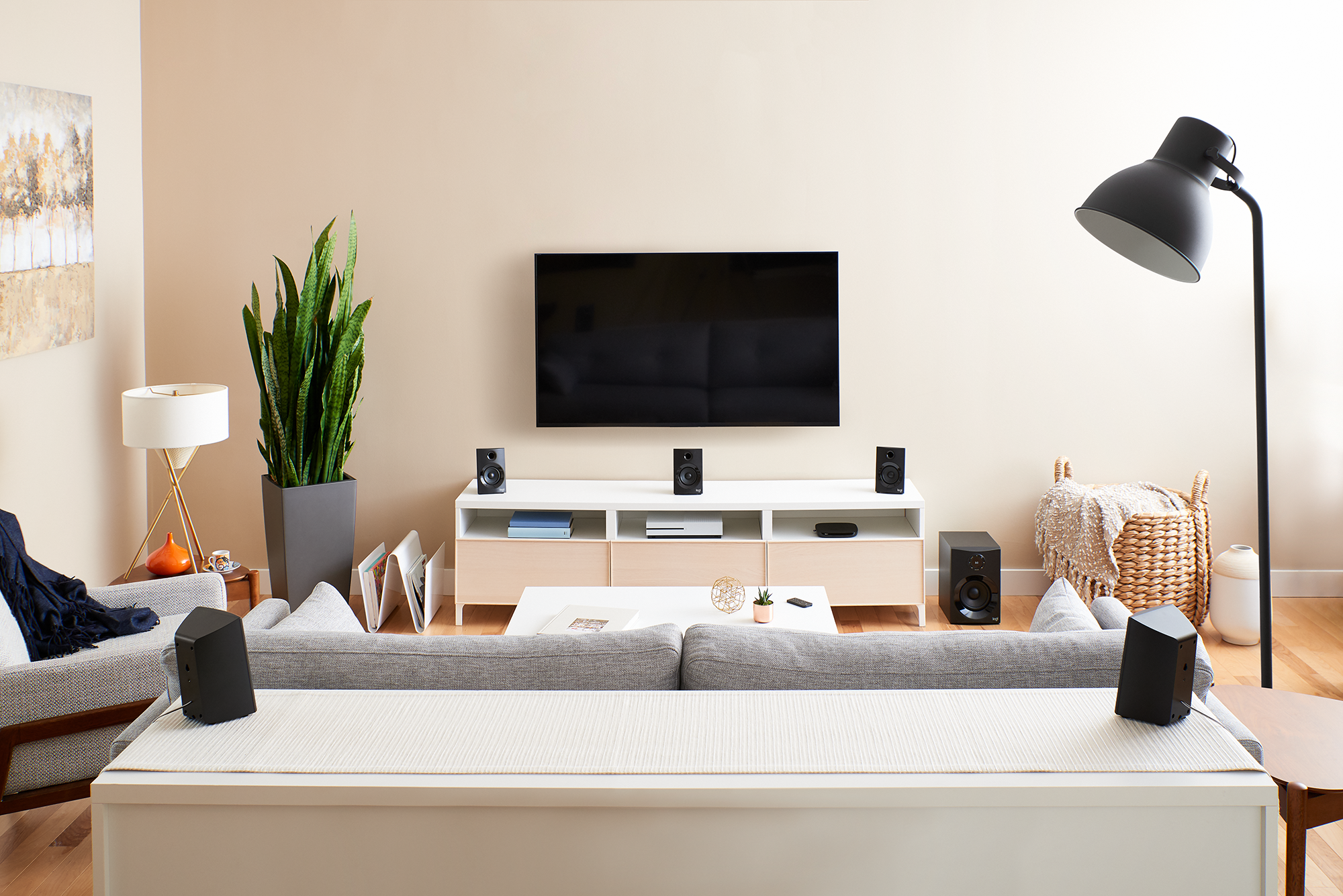 Woonkamer met een tv, luidsprekers, een witte kast, een bank en een hoge plant.