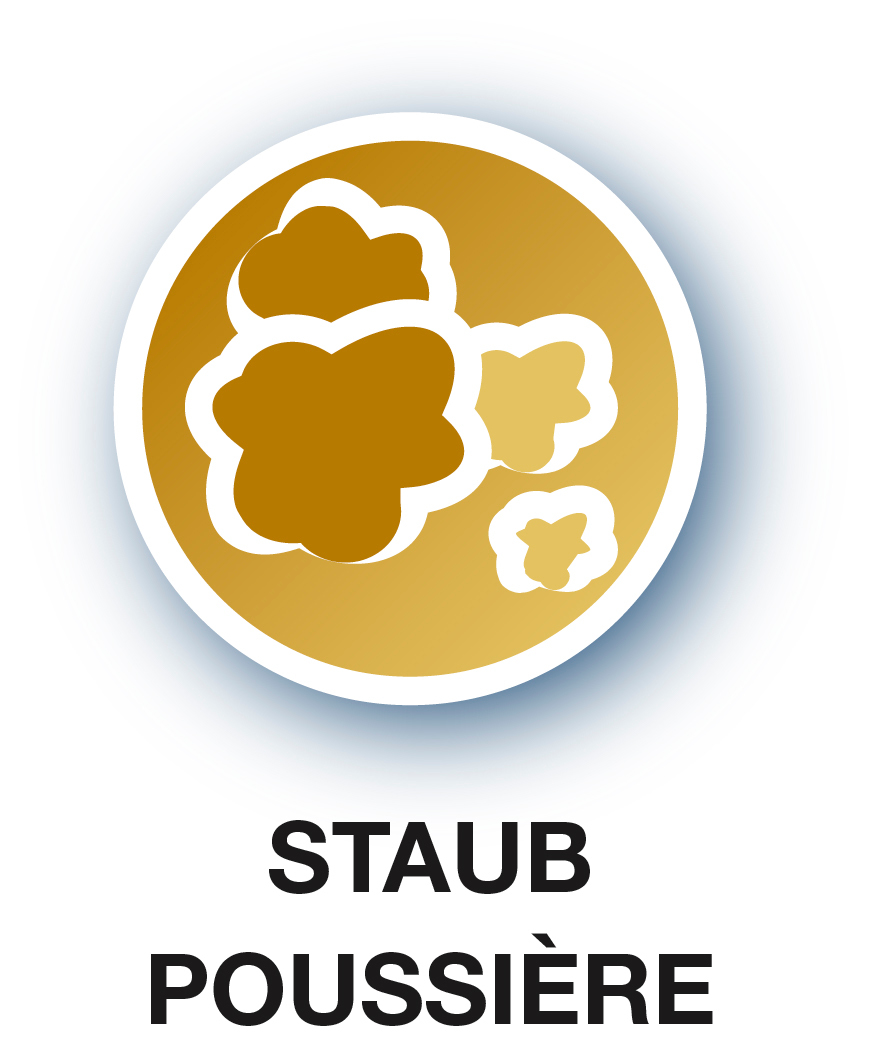 Ein goldfarbenes Logo mit einer stilisierten Wolkengrafik und den Worten STAUB POUSSIÈRE.