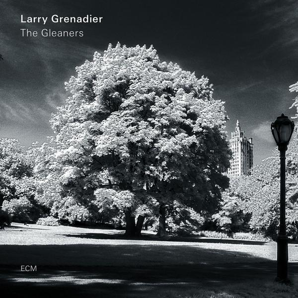 Larry Grenadier (Vinyl) Gleaners - - The
