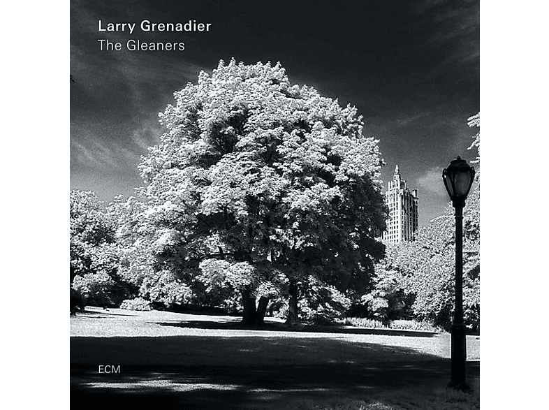 The - Larry Grenadier - (Vinyl) Gleaners