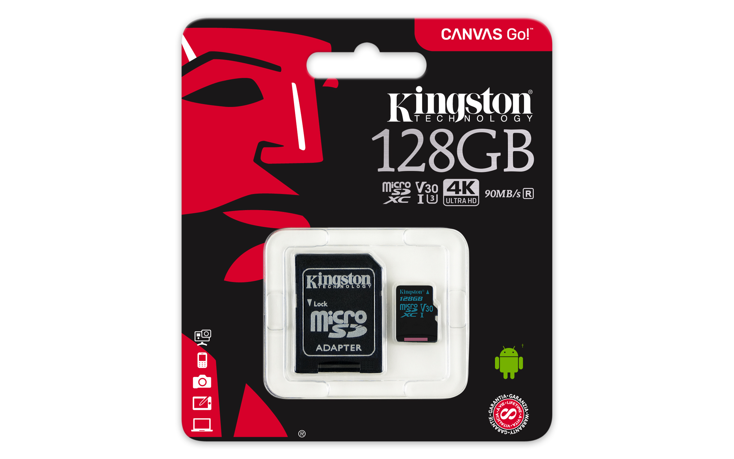 KINGSTON Canvas Go!