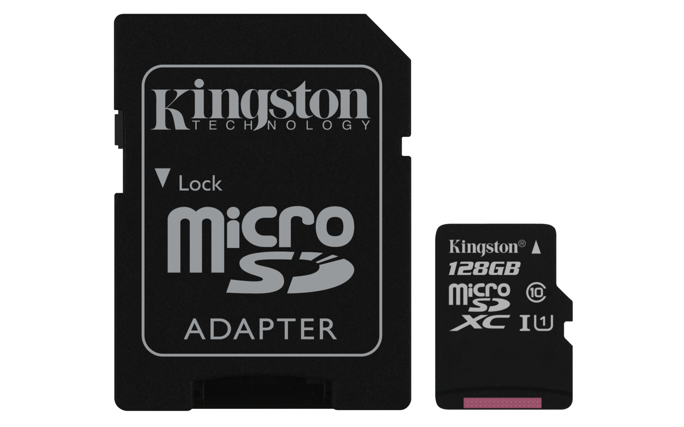 KINGSTON Canvas Select