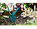 GARDENA Combisystem - Serfouette à fleurs (Noir/Bleu/Orange)