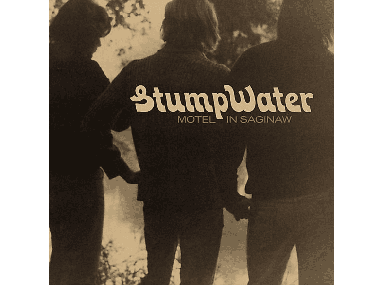 (Vinyl) Saginaw+7inch - Stumpwater - In Motel