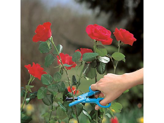 GARDENA 0359-20 - Forbici per rose (Nero/Blu)