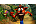 Crash Bandicoot N. Sane Trilogy - PlayStation 4 - Deutsch