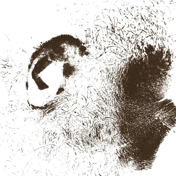 Fell - Peiden  - (Vinyl)