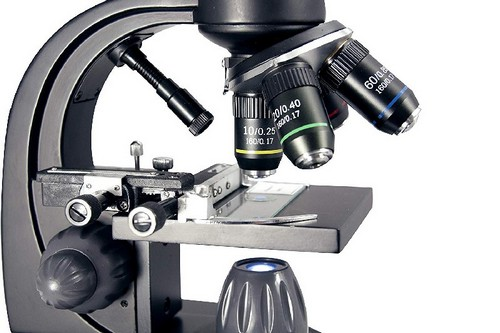 Microscopio - Celestron Digital Pentaview, 40x-600x (hasta 2400x), LCD táctil 4.3", Cámara 5MP