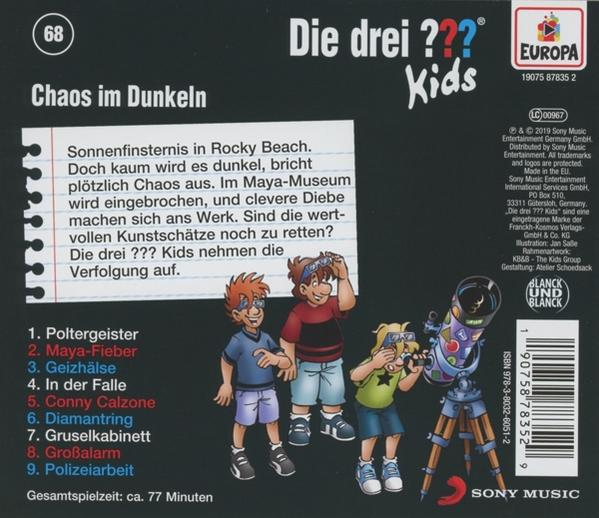 Ein CD-Cover mit drei Zeichentrickkindern, die nach oben schauen. Text auf Deutsch: 'Die drei ??? Kids' und Episodentitel.