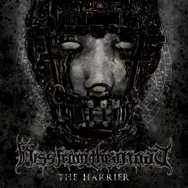 Hiss From The Moat - The Harrier  - (Vinyl)