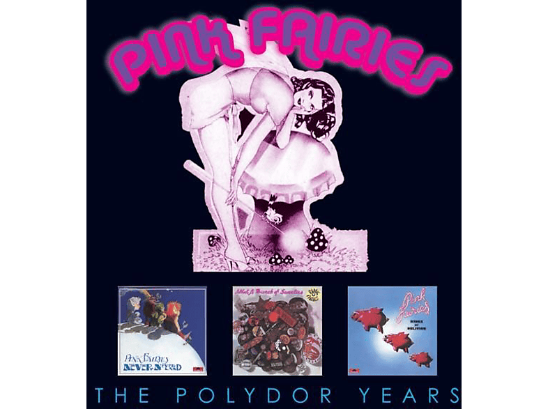 Pink Fairies - The Polydor Years - (CD)