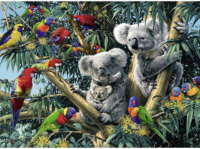 RAVENSBURGER Koalas im Baum Puzzle Mehrfarbig