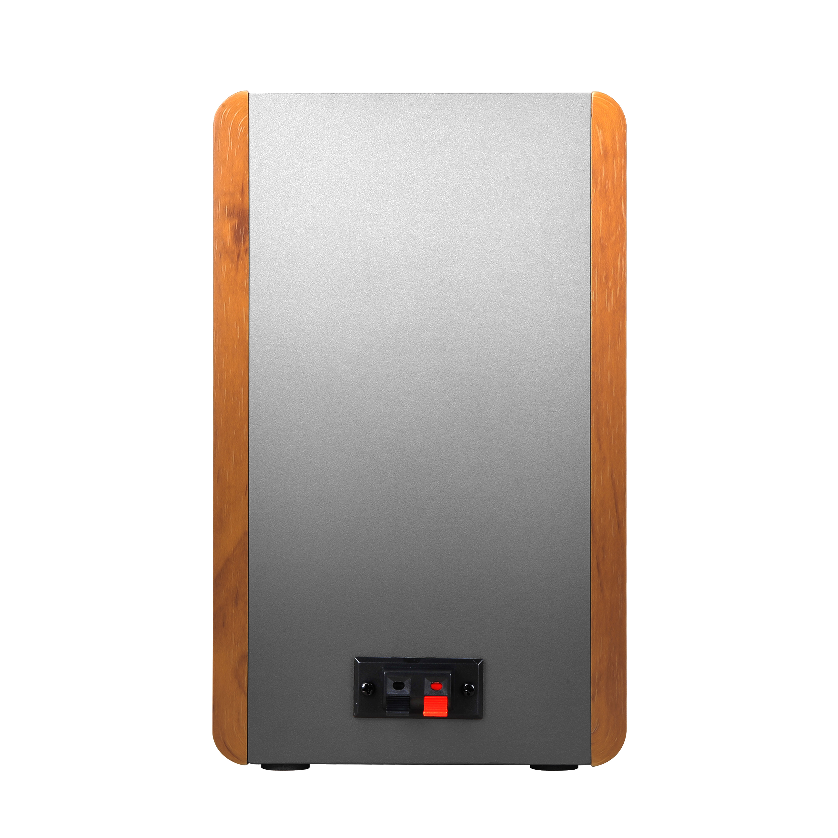 Ein schwarzer Lautsprecher mit Holzseiten, zeigt die Rückseite mit einem roten und schwarzen Anschluss.