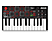 AKAI MPK MINI PLAY - MIDI Keyboard (Schwarz)